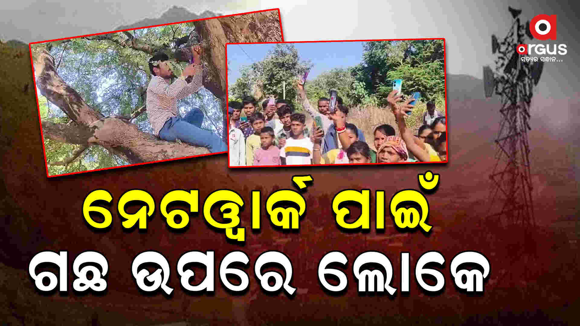 କର୍ଲାପାଣିରେ ନେଟୱାର୍କ ସାତ ସପନ