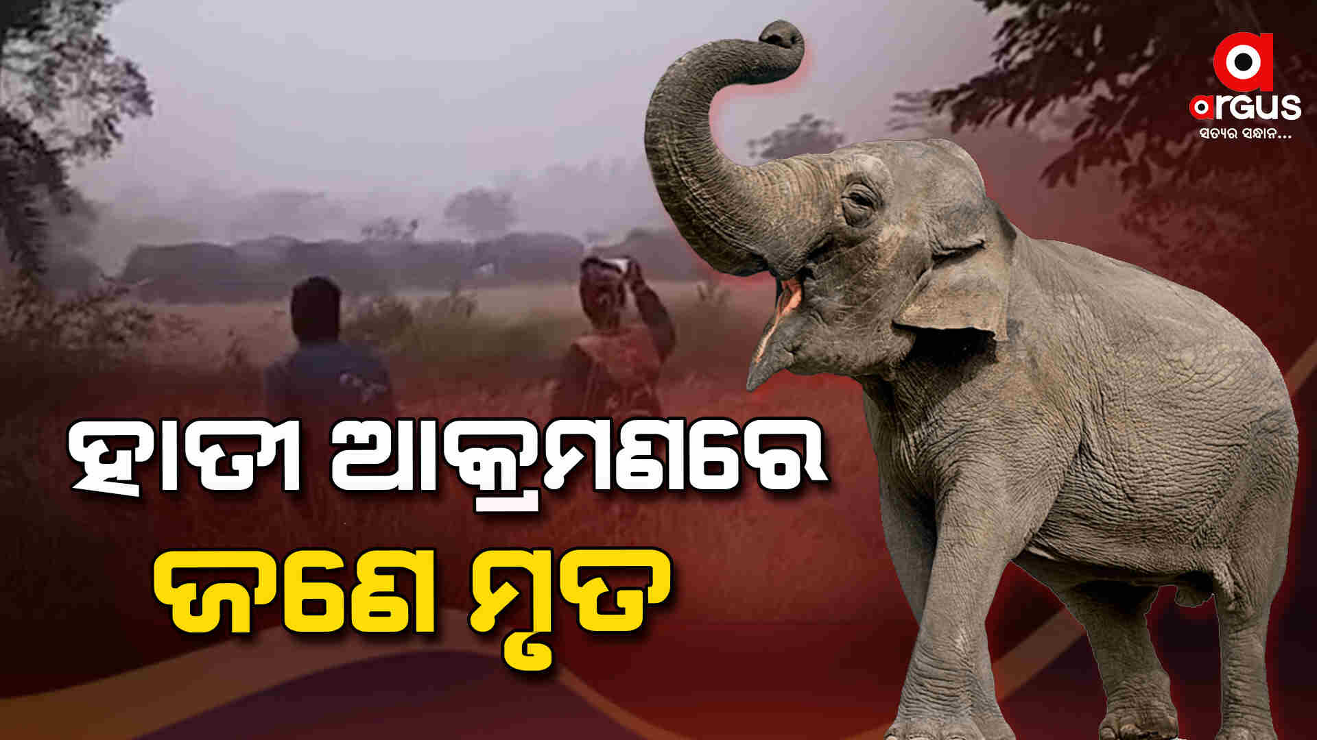 ହାତୀ ଆକ୍ରମଣରେ ଜଣେ ମୃତ