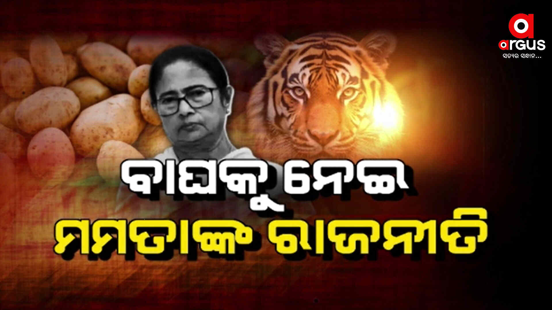 ଆଳୁ ପରେ ମମତାଙ୍କ ବାଘକୁ ନେଇ ରାଜନୀତି