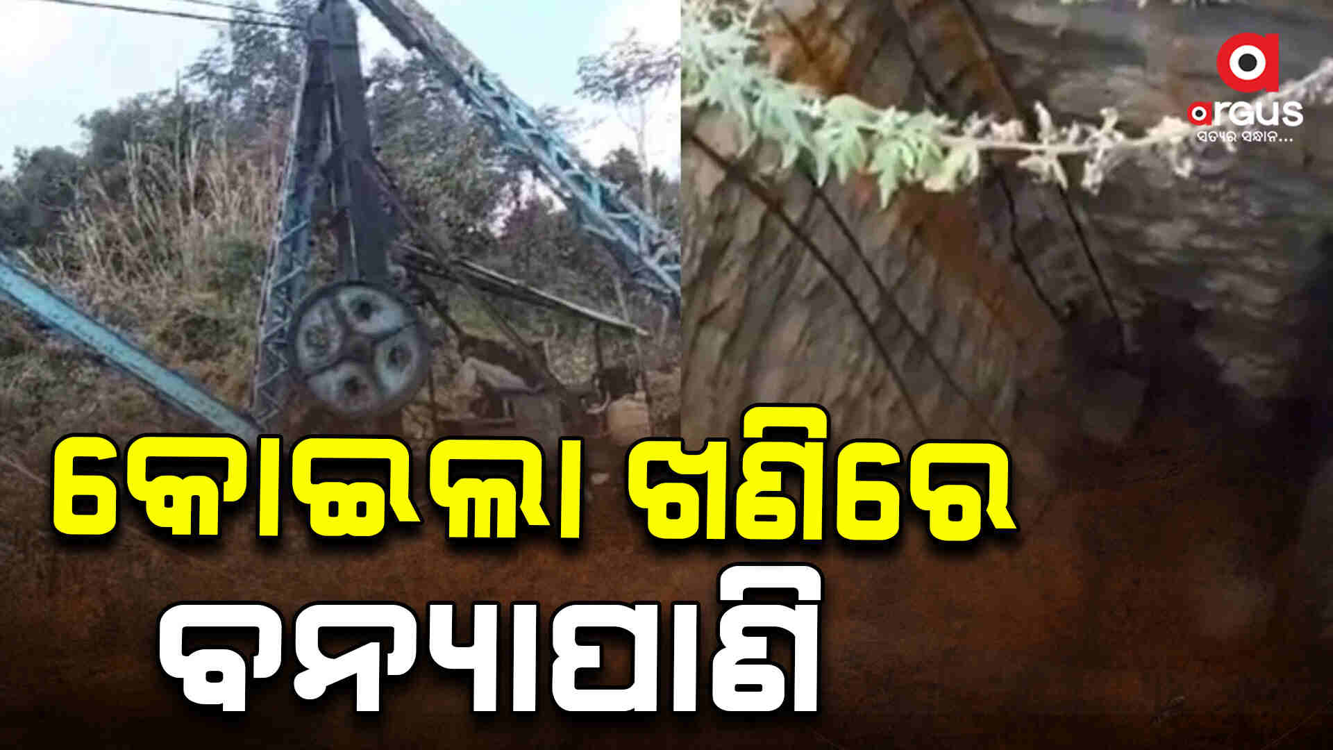 କୋଇଲା ଖଣିରେ ବନ୍ୟାପାଣି: ୫ ମୃତ