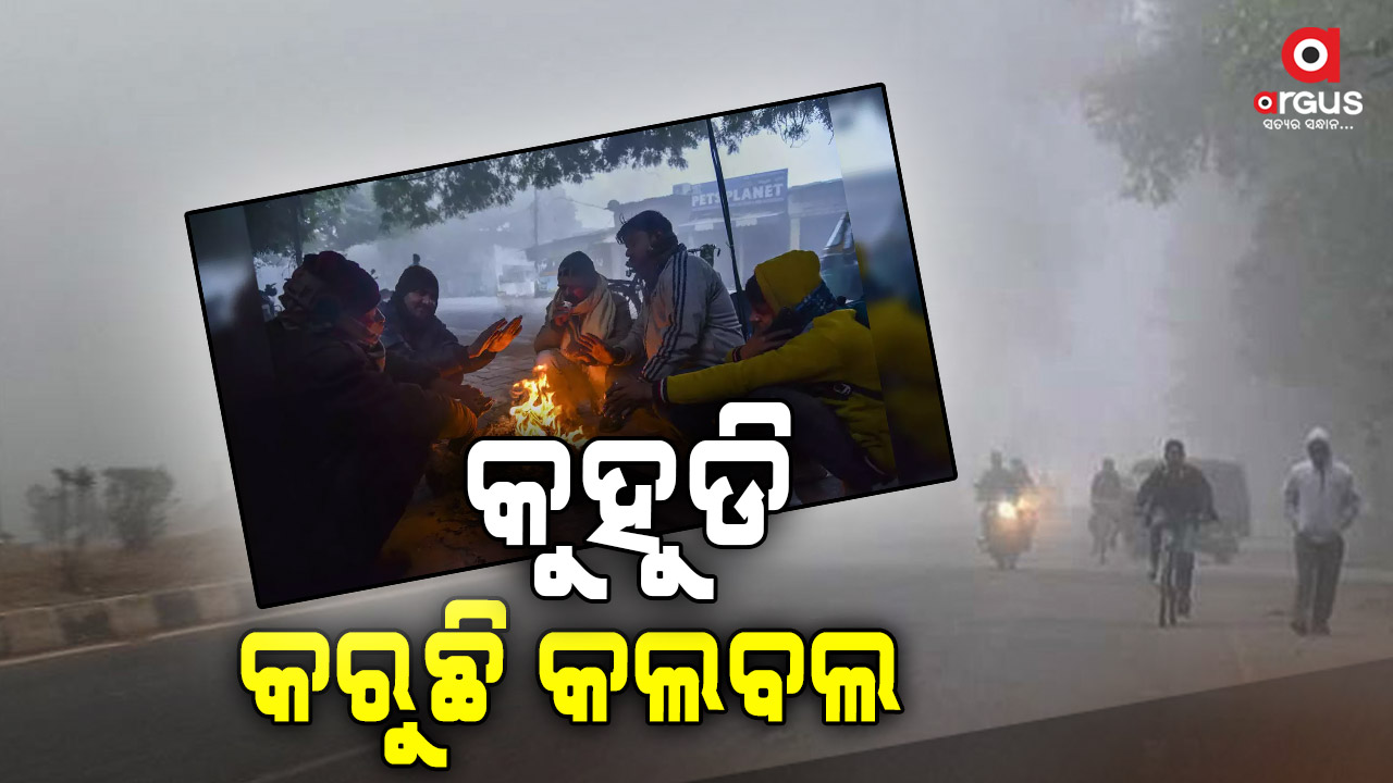 କଲବଲ କରୁଛି ଘନକୁହୁଡି, ୨ ରୁ ୪ ଡିଗ୍ରୀ ତାପମାତ୍ରା ବୃଦ୍ଧି