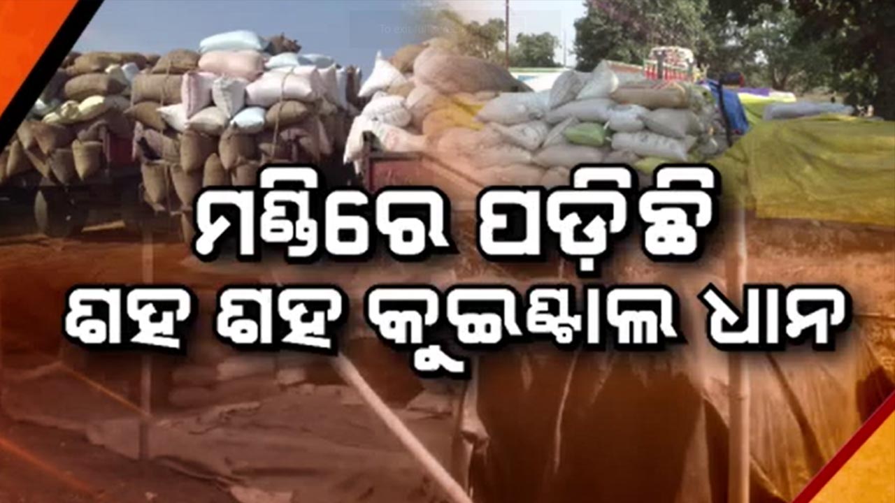 ଖୋଲା ଆକାଶ ତଳେ ଚାଷୀଙ୍କ ବର୍ଷକ ଯାକର ପରିଶ୍ରମ