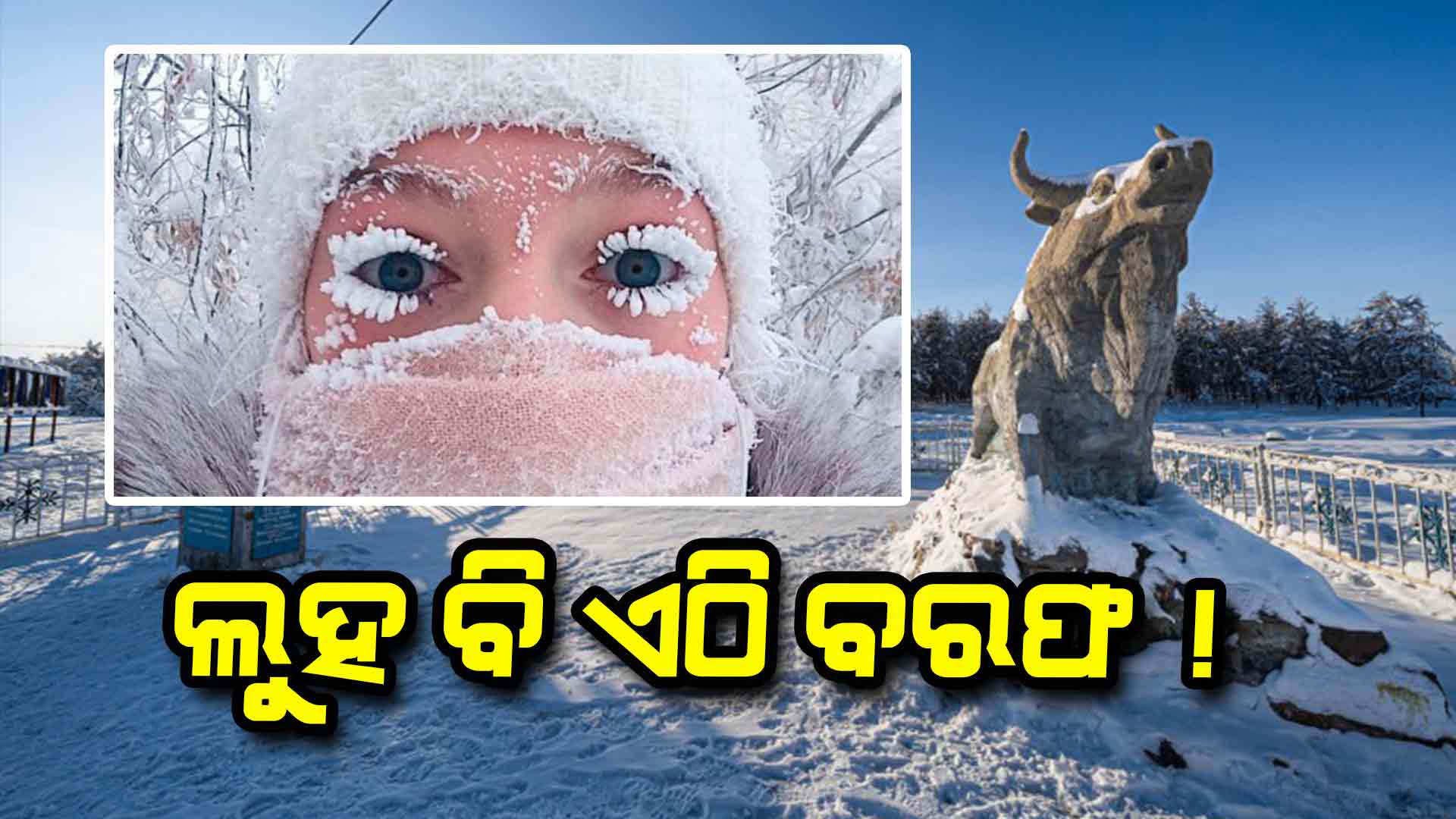 Coldest Place on Earth: ଏମିତି ଥଣ୍ଡା କୋଉଠି ନାହିଁ; ଶୀତରେ ୩ ଘଣ୍ଟା ଦିନ, ଖରାରେ ୩ ଘଣ୍ଟା ରାତି !