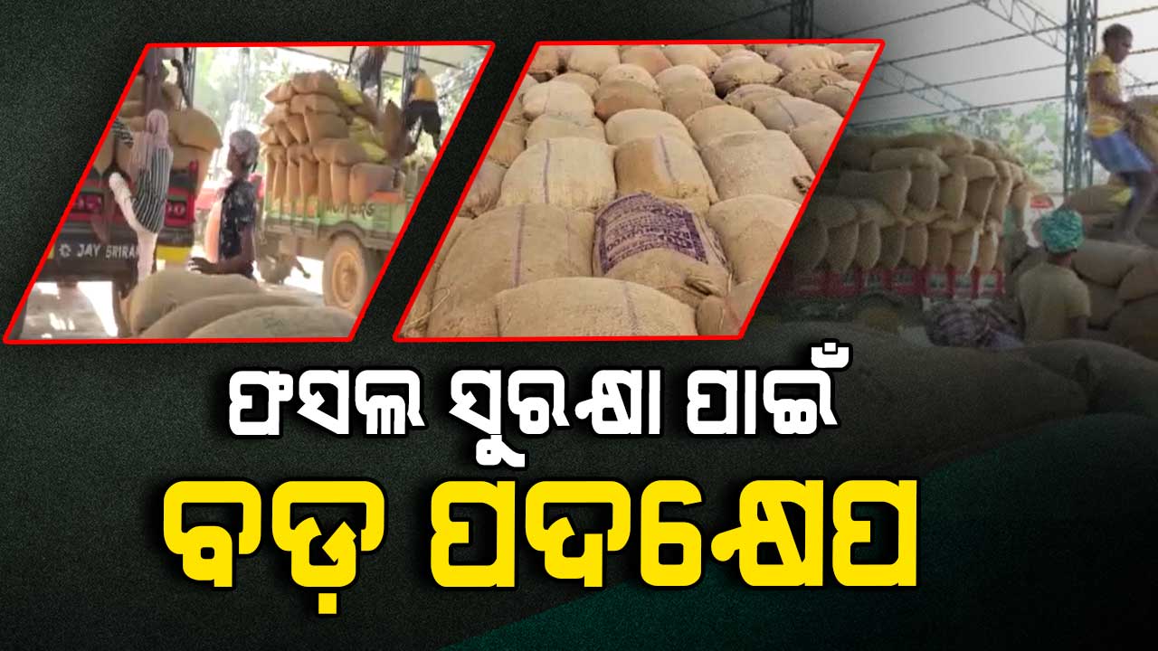 ଅଦିନିଆ ବର୍ଷାରୁ ଅମଳ ଫସଲର ସୁରକ୍ଷା ପାଇଁ ରାଜ୍ୟ ସରକାରଙ୍କ ବ୍ୟାପକ ପଦକ୍ଷେପ