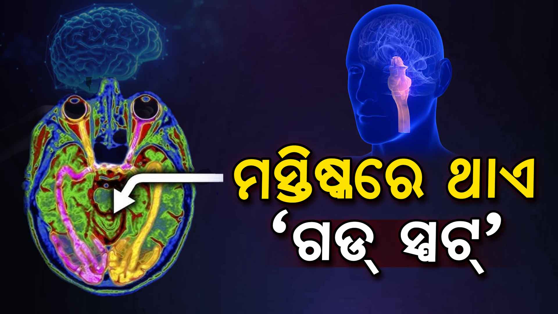 ମସ୍ତିଷ୍କର ଏହି ପାର୍ଶ୍ବରେ ଅଛି ଇଶ୍ବରଙ୍କ ପାଇଁ ସ୍ଥାନ, ବୈଜ୍ଞାନିକ ଦେଲେ ପ୍ରମାଣ