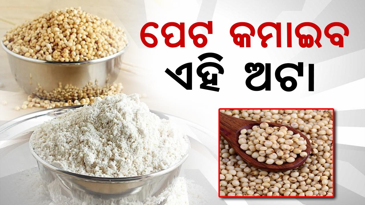 ଓଜନ କମାଇବ ଏହି ଅଟାର ରୁଟି
