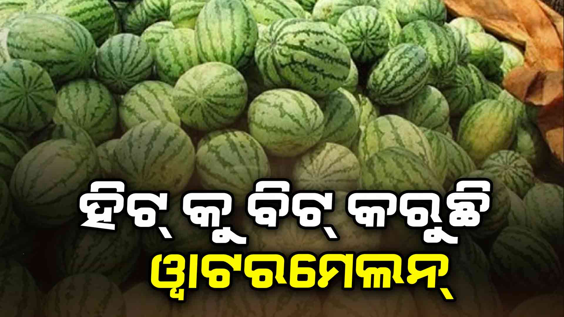 ରାଜଧାନୀ ରାସ୍ତାକଡ଼ରେ ଜମୁଛି ତରଭୁଜର ଆସର