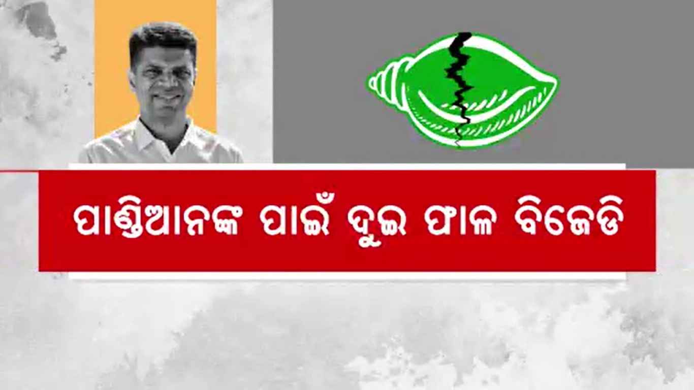 ବିଜେଡି କଳି, ଭିନ୍ନ ଭିନ୍ନ ସ୍ଥାନରେ ମେଳି