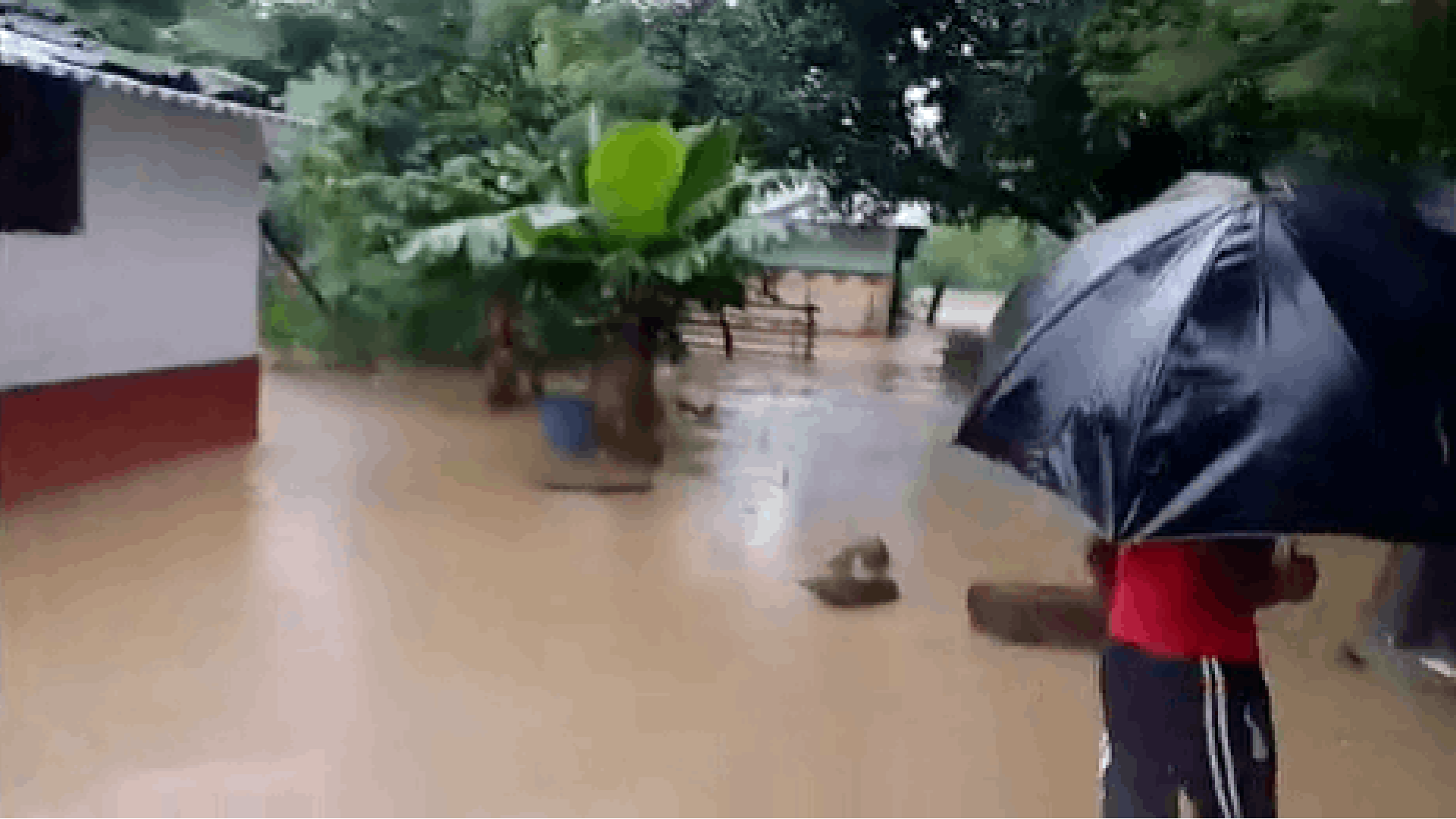 Heavy Rains Trigger Flood Alert in Northern Odisha; Schools Shut, Villages Inundated
