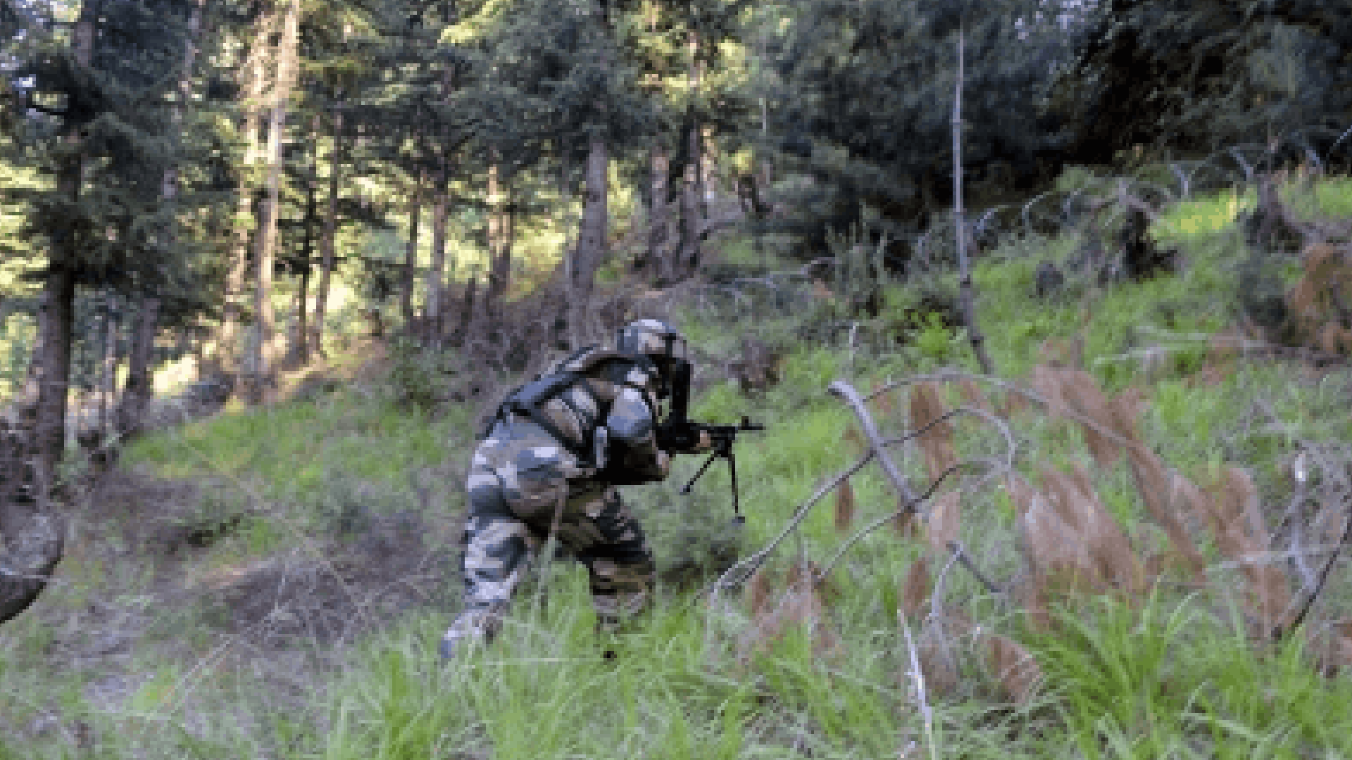 Two Intruders Killed As Army Foils Infiltration Bid On J&K LoC, Local 'Guide' Caught