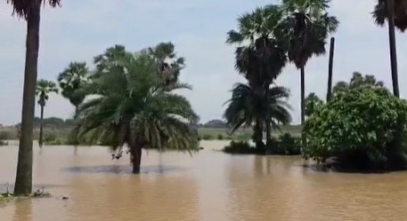 Odisha Floods: 70,000 People Marooned In Kendrapara, Crocodiles Spotted