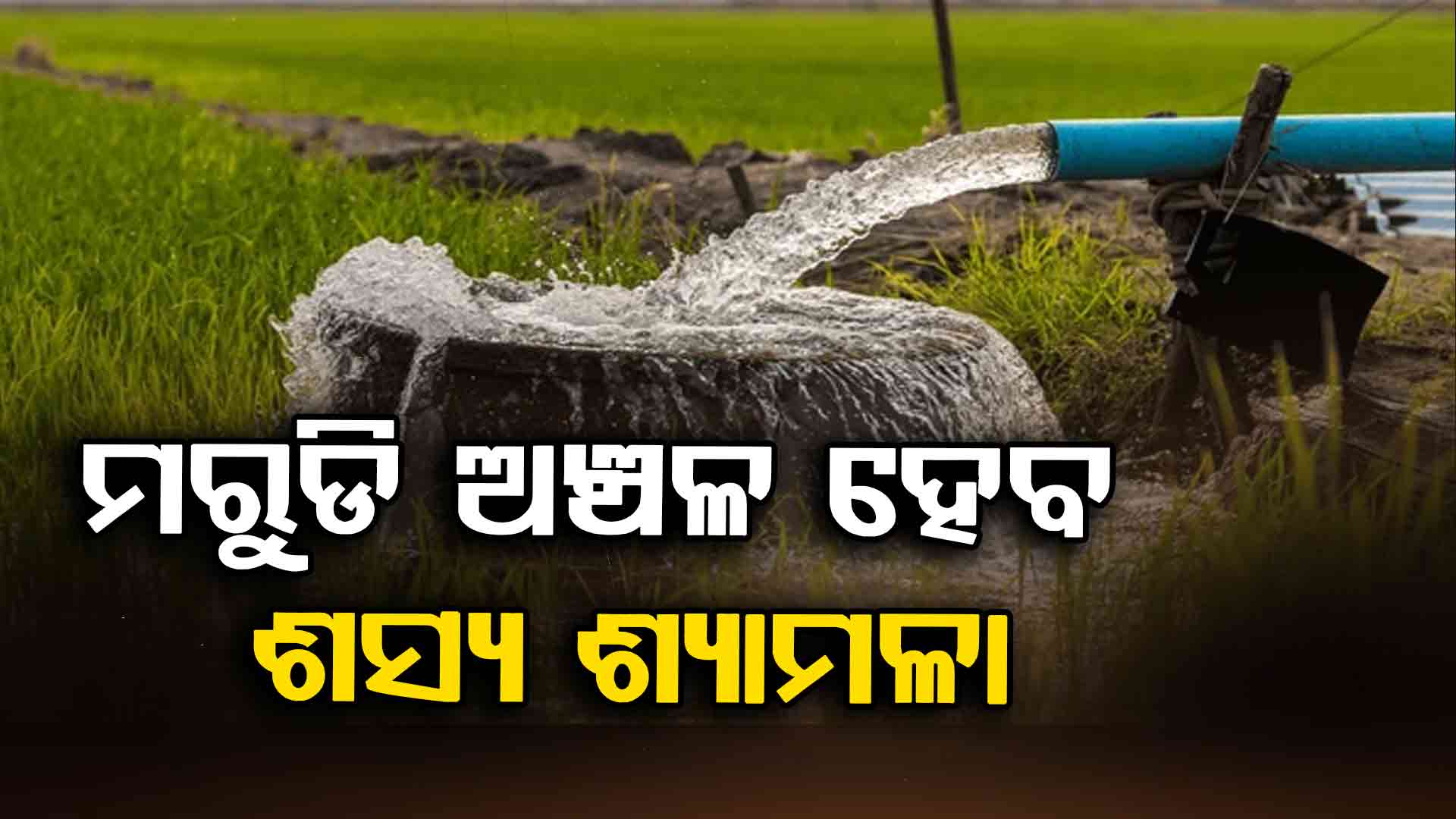 ମରୁଡି ଅଞ୍ଚଳ ହେବ ଶସ୍ୟ ଶ୍ୟାମଳା, ପୂରଣ ହେବ ଚାଷୀଙ୍କ ଆଶା 