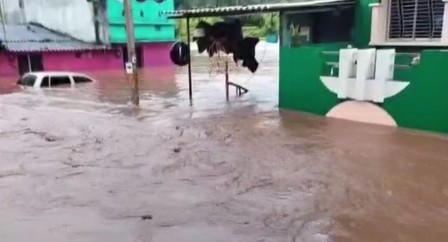 Torrential Rains Wreak Havoc Across Southern Odisha