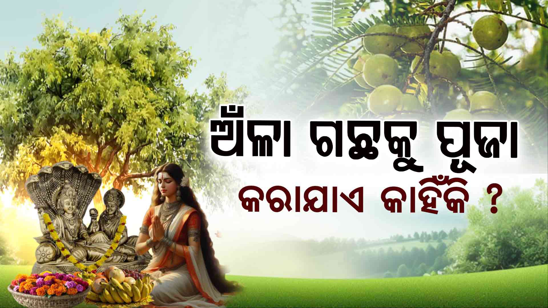ସୁପର ଫୁଡ୍ ଅଁଳା, ଖାଇଲେ ଦୂର ହେବ...