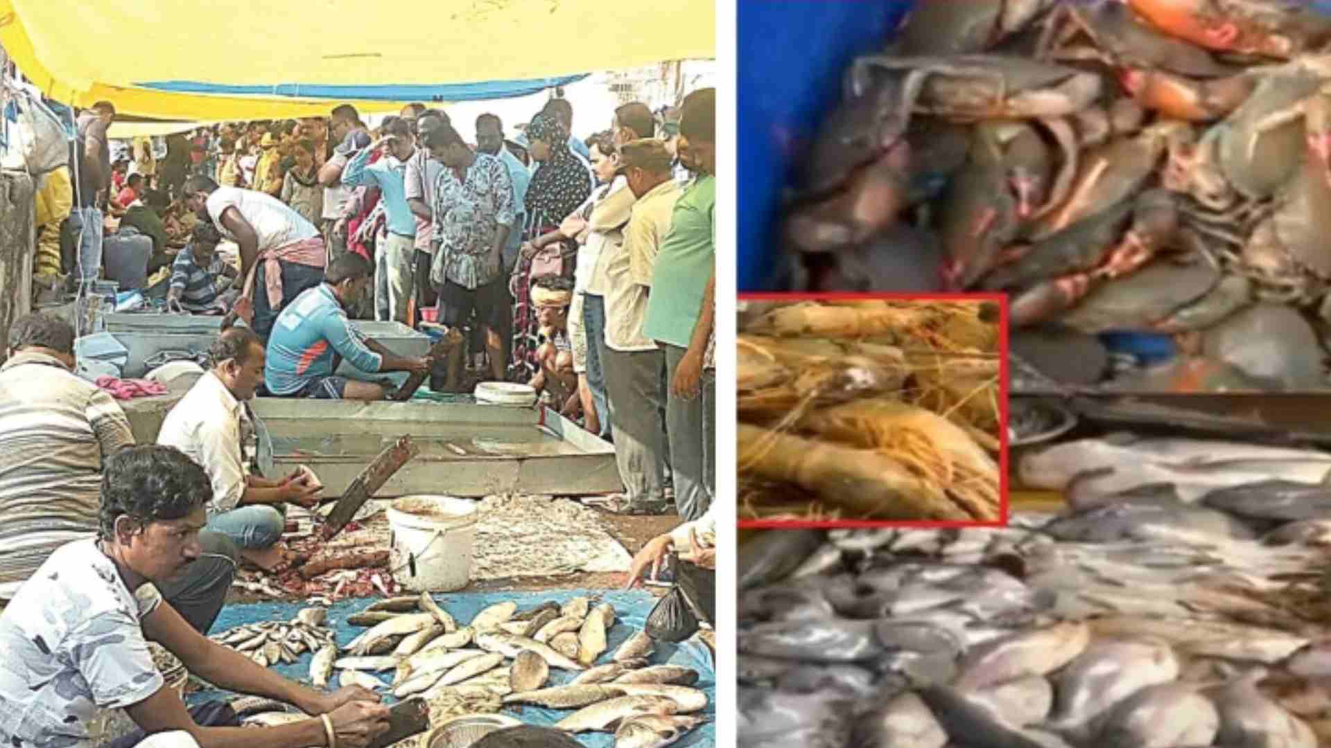 Chhadakhai Rush: Odisha Marks Chhadakhai With Soaring Non-Veg Sales And Packed Markets