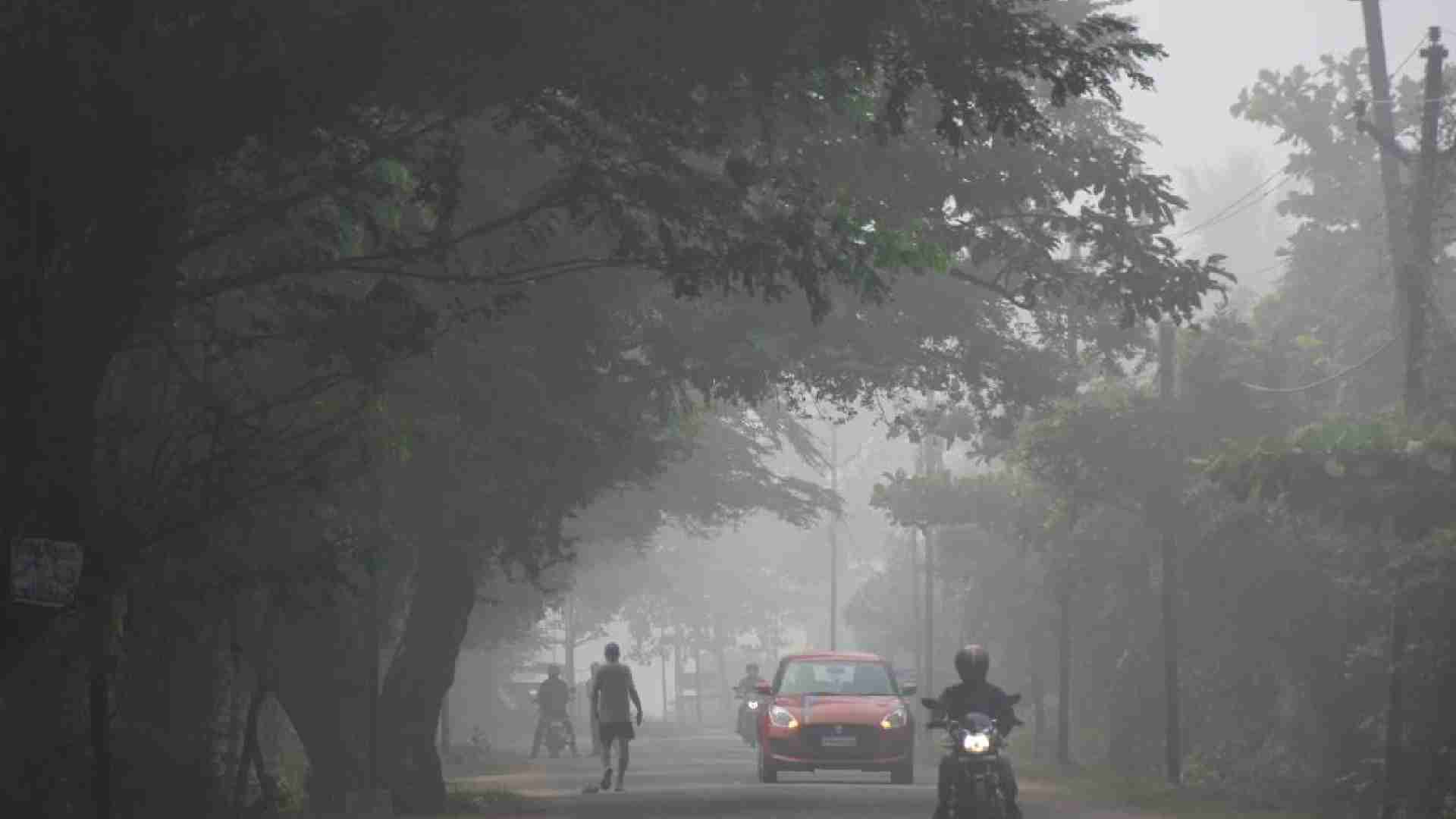 Weather Update: Cold Wave Hits Similipal Sanctuary; Barahakamuda Records  Season's Lowest At 4°C
