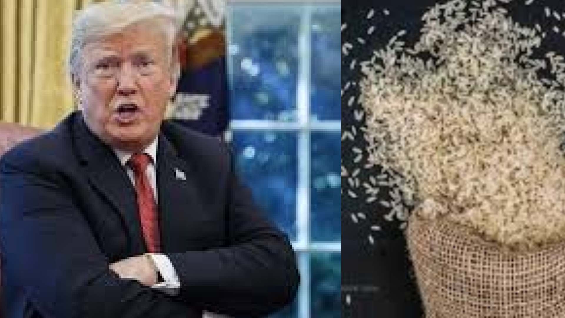 Trump Vows Fresh Tariffs on Indian Agricultural Imports