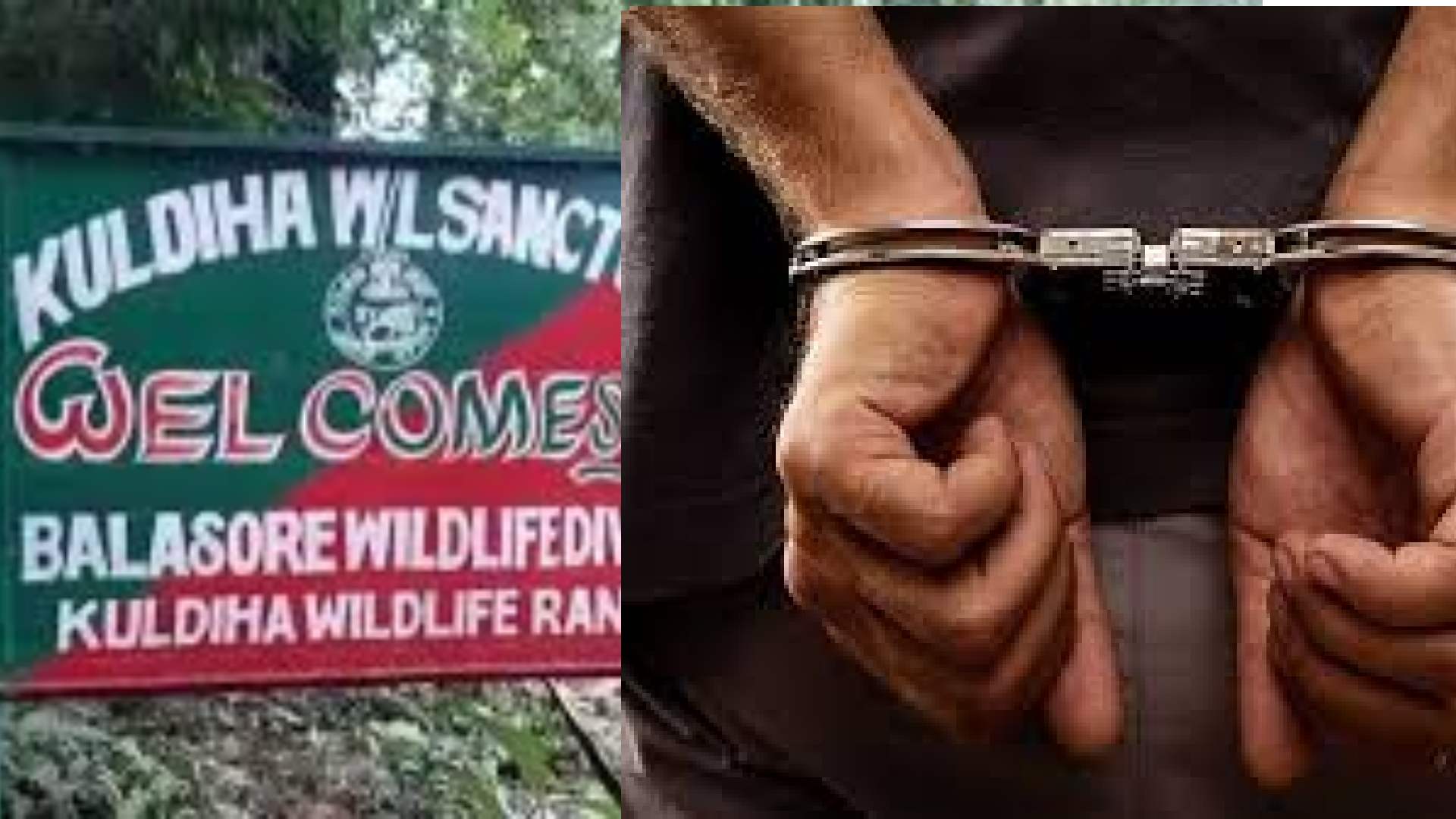 AI Cameras Help Forest Team Nab Three Armed Poachers in Kuldiha