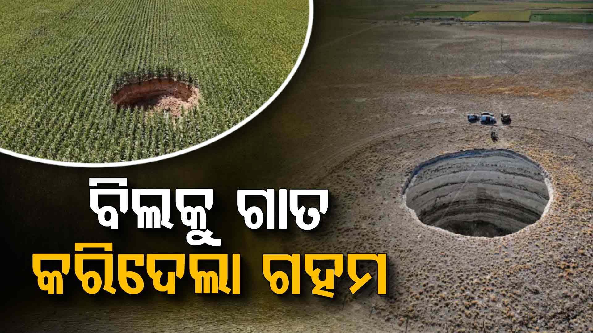 ଗହମ ଅମଳ ଯୋଗୁଁ ଉଜୁଡ଼ିଗଲା କ୍ଷେତ; ୧୦୦ ଫୁଟ୍‌ର ୬୮୪ଟି ଗଭୀର ଗାତ ଚିହ୍ନଟ