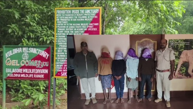 Wildlife Crime in Odisha: Fake Ivory Racket Busted In Balasore, Nine  Arrested