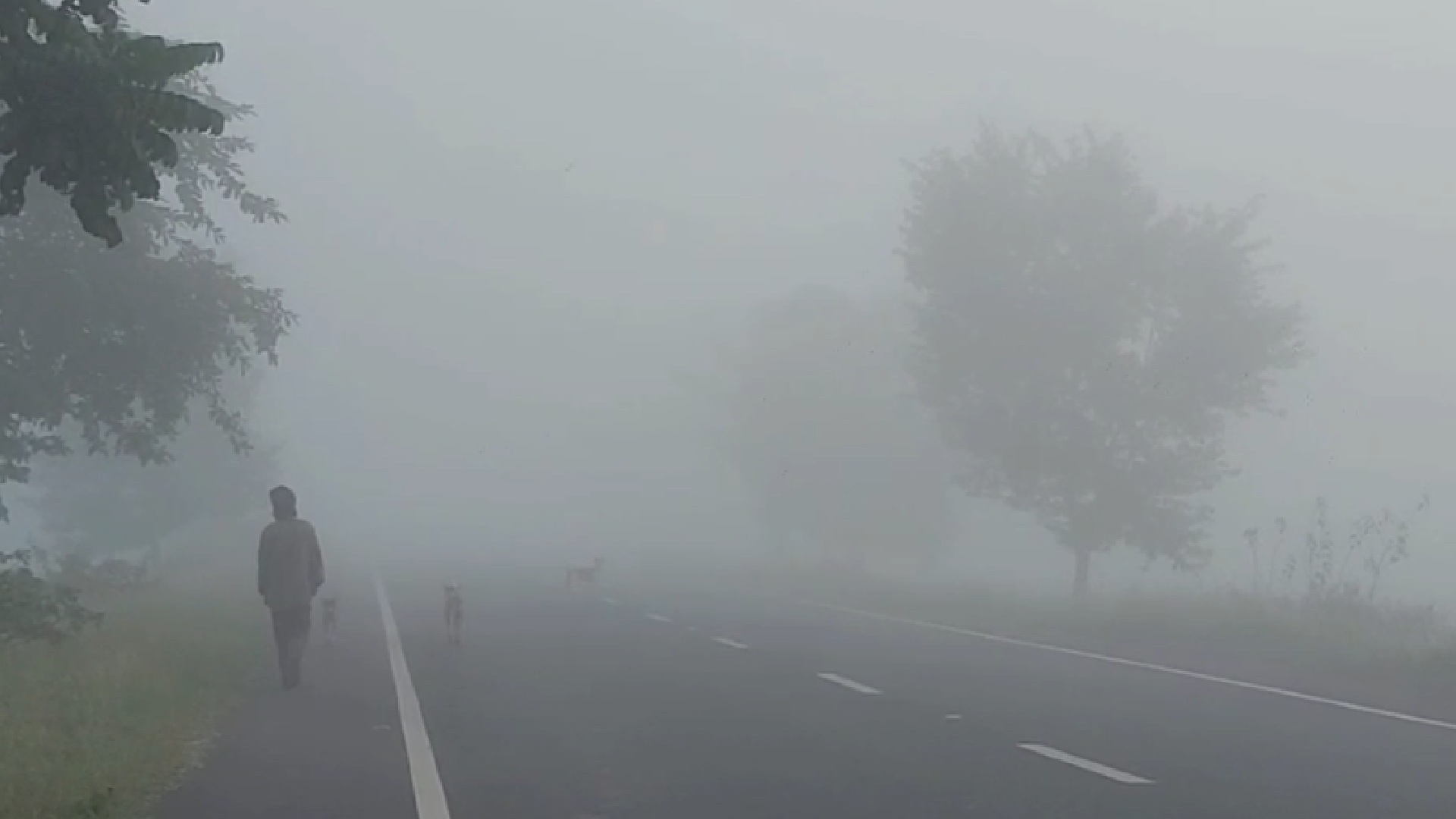 Weather Today: Odisha Braces for Dense Fog as Cold Wave Conditions Set In