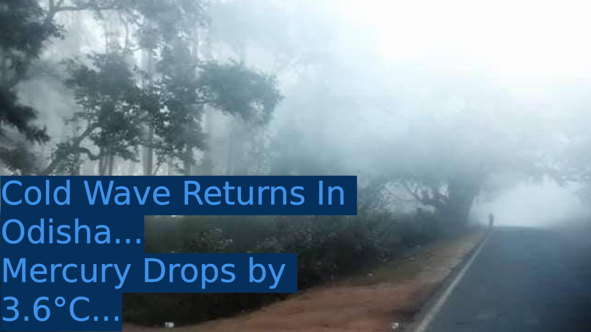 Cold Wave Returns to Odisha After Brief Pause, Mercury Dips Sharply