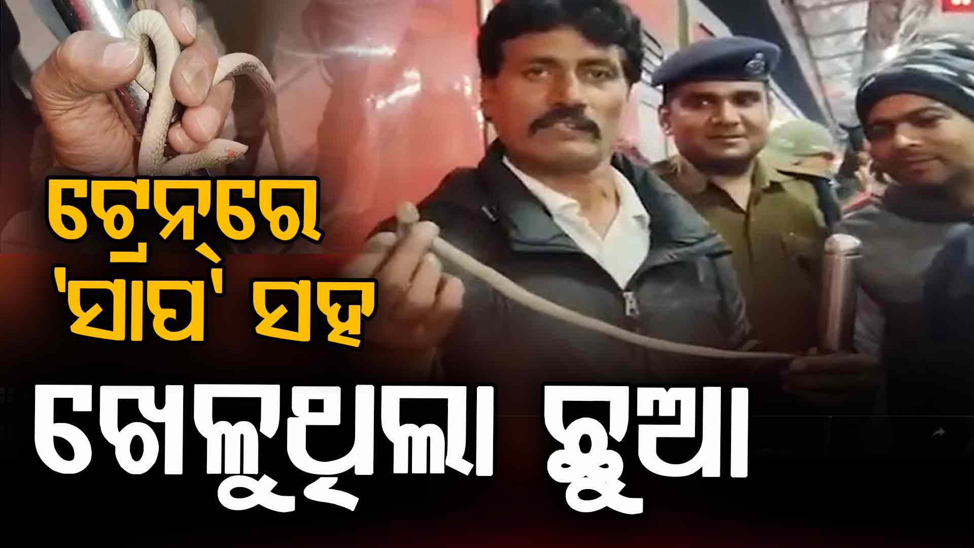 'ସାପ' ସହ ୨ ଘଣ୍ଟା AC କୋଚ୍ରେ ଖେଳୁଥିଲା ଛୁଆ; ସିଟ୍ ତଳକୁ ଖସିବାରୁ ସମସ୍ତେ ଛାନିଆ