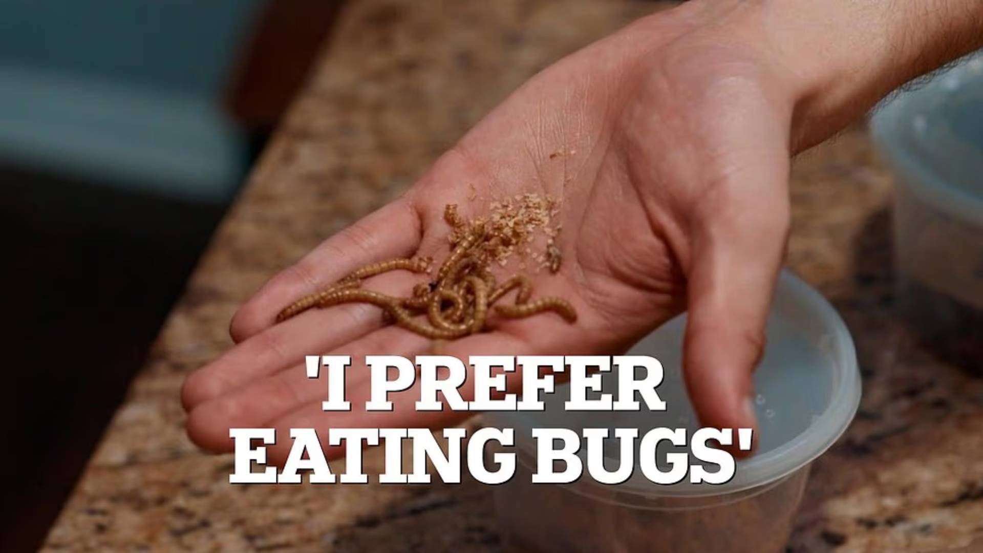 Can You Imagine Someone Dining On Bugs Daily? Meet Carlos, Who Prefer Insects Over Normal Meals