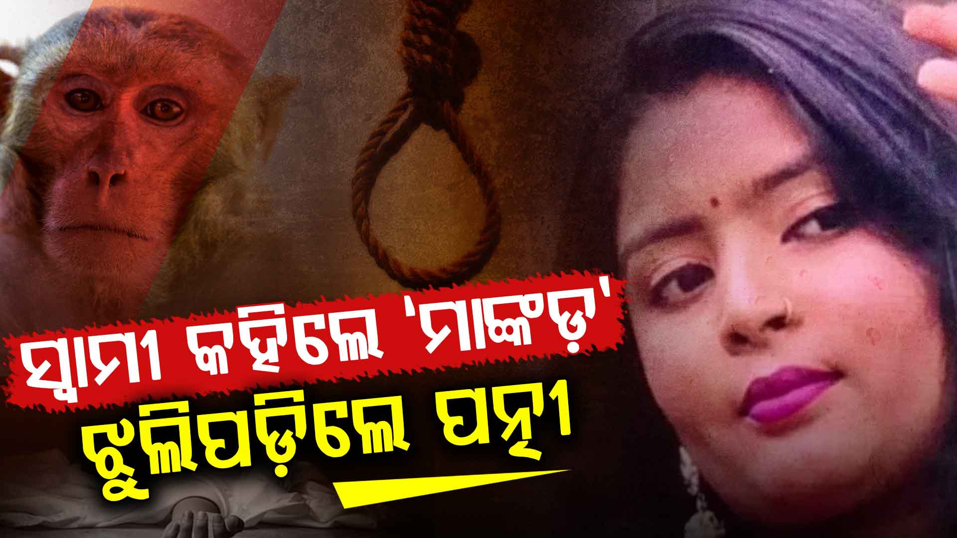 ମଜାରେ ମଡେଲ୍ ପତ୍ନୀଙ୍କୁ 'ମାଙ୍କଡ଼' କହିଲେ ସ୍ଵାମୀ; ରାଗରେ ଝୁଲି ପଡ଼ିଲା ସ୍ତ୍ରୀ