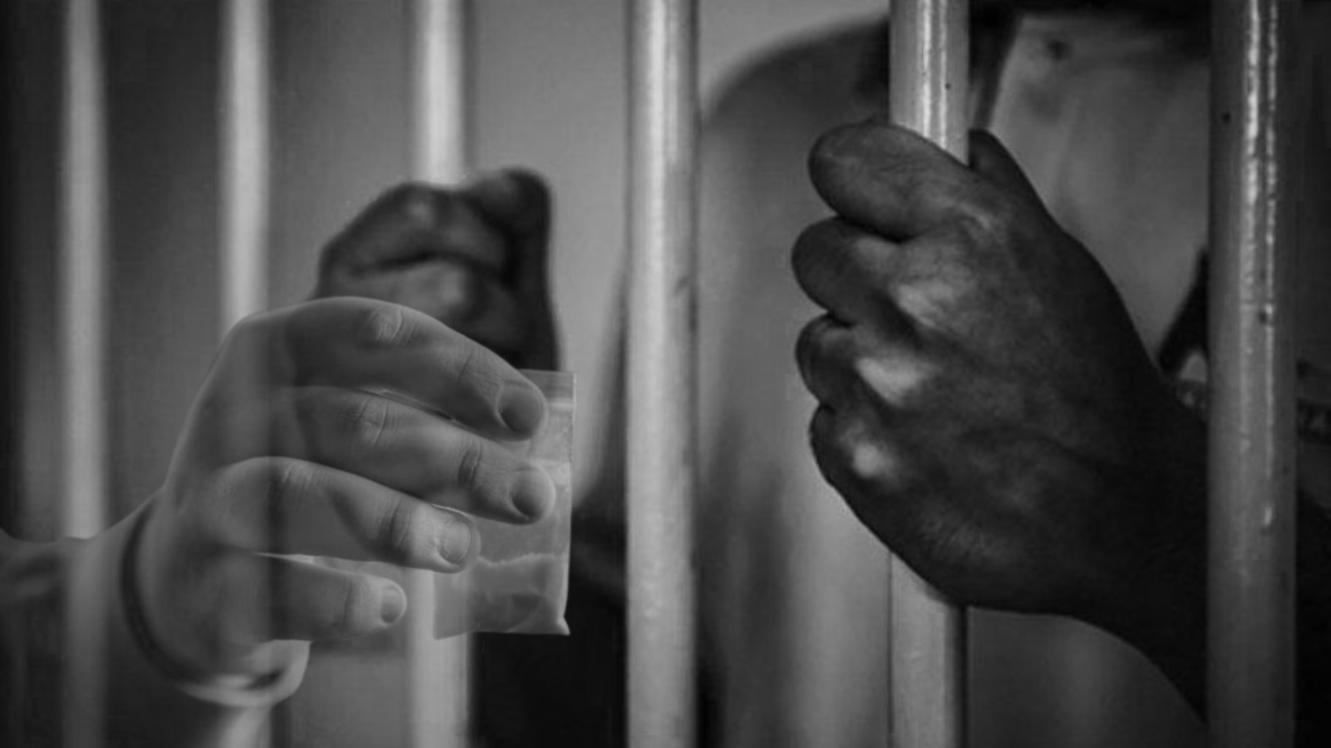 Odisha’s Drug Menace under Scanner as Brown Sugar Worth ₹20 Lakh Seized, Two Arrested