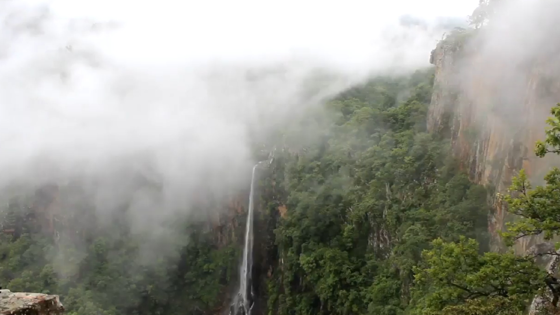 1°C in Similipal! Mayurbhanj Freezes Under Fresh Cold Spell; Mercury To Rise From This Date