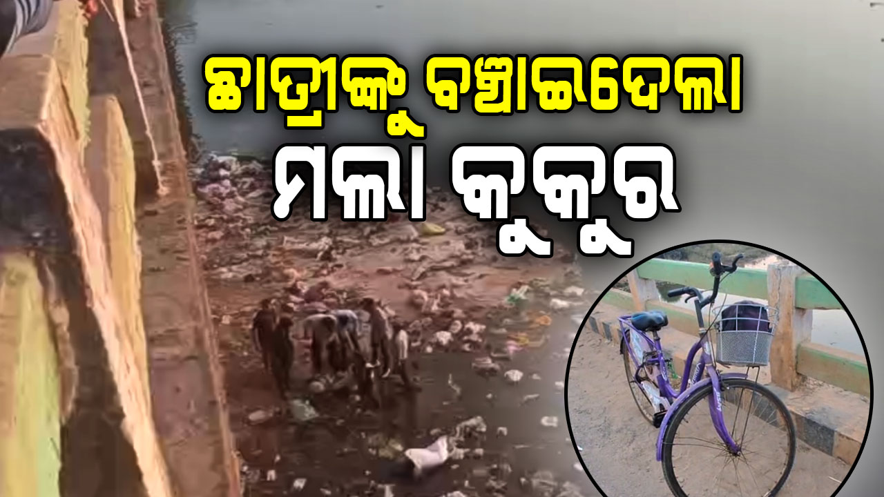 ଅଷ୍ଟମ ଶ୍ରେଣୀ ଛାତ୍ରୀଙ୍କୁ ନୂଆ ଜୀବନ ଦେଲା ମଲା କୁକୁର; ନଦୀକୁ ଡେଇଁ ଜୀବନ ହାରିବାକୁ କରୁଥିଲେ ଉଦ୍ୟମ