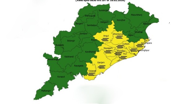 IMD Issues Yellow Warning For Dense Fog Over 10 Odisha Districts