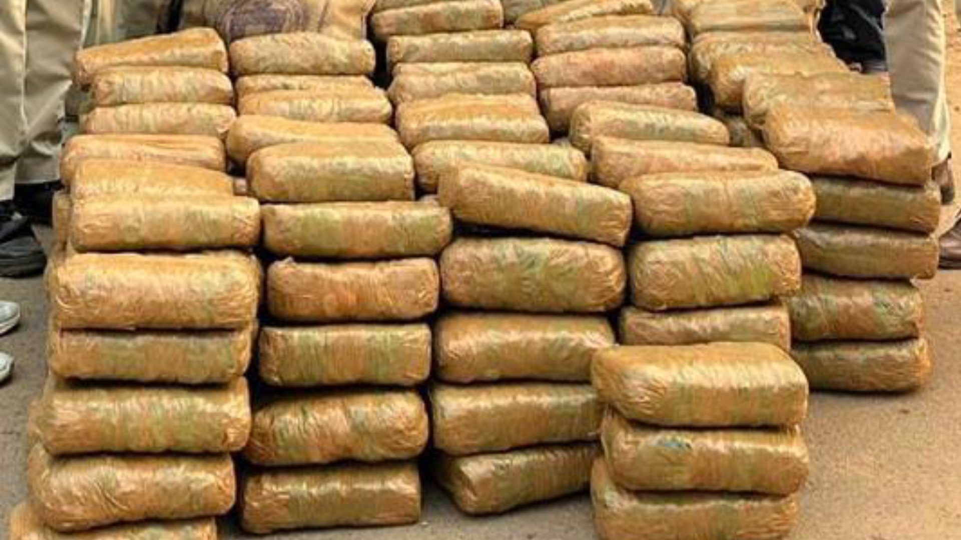 Breaking News: Berhampur Excise Raid Nets Ganja Worth ₹70 Lakh, Five Held