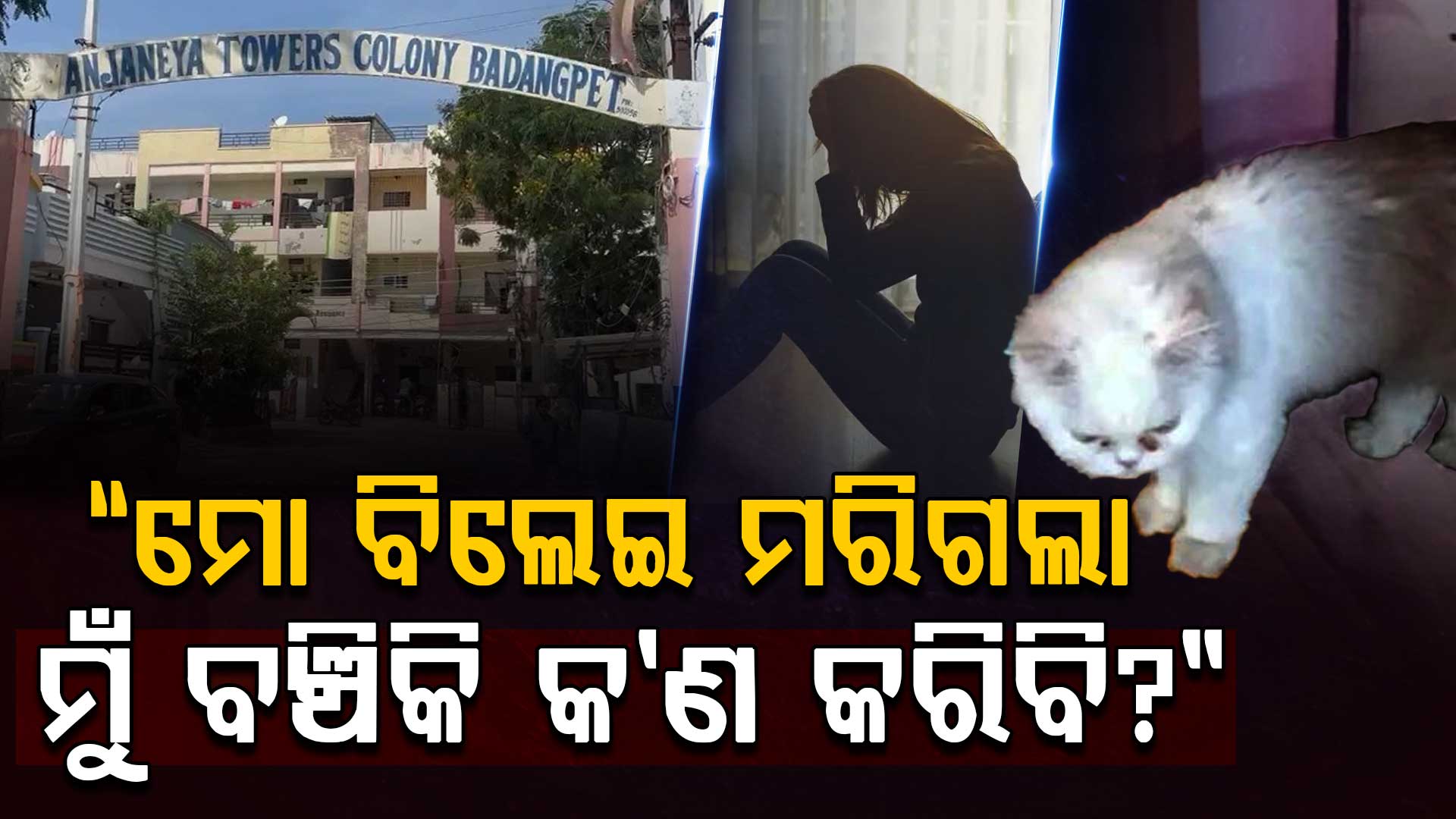 ପୋଷା ବିଲେଇର ମୃତ୍ୟୁକୁ ସହି ନ ପାରି ଜଣେ ୨୦ବର୍ଷୀୟା ଛାତ୍ରୀଙ୍କ ଆତ୍ମହତ୍ୟା