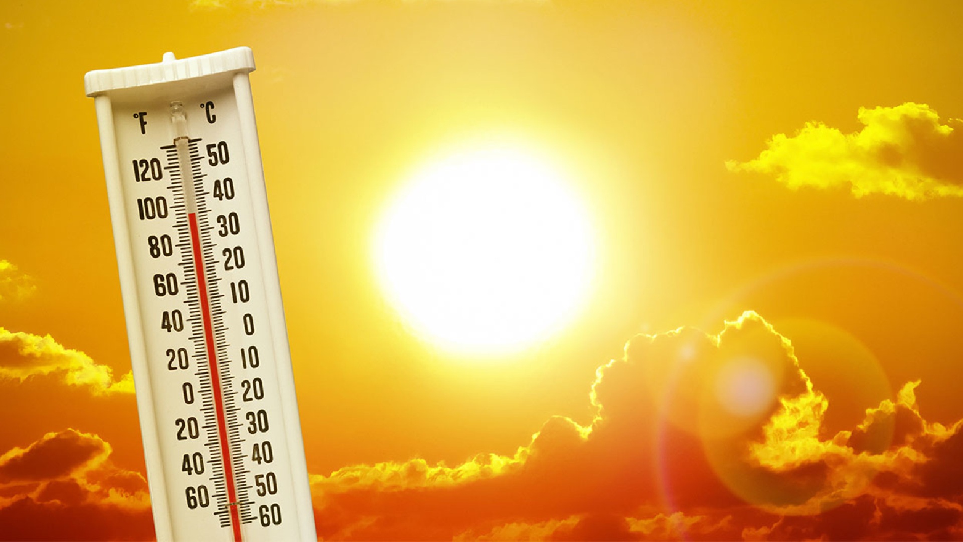 Breaking News: Odisha Issues Heatwave Safety Guidelines to Protect Labourers