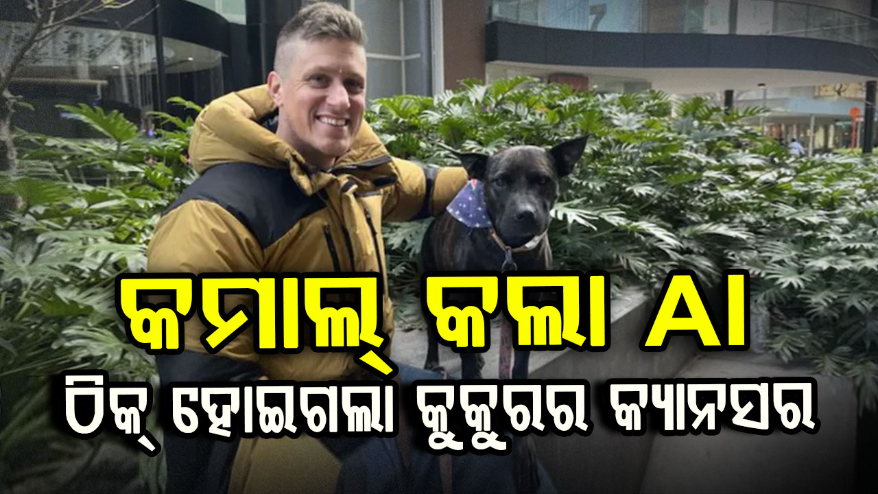 କୁକୁରର ଶେଷ ପର୍ଯ୍ୟାୟ କ୍ୟାନସର୍‌କୁ ଭଲ କରିଦେଲା AIରୁ ତିଆରି ଭ୍ୟାକ୍ସିନ୍