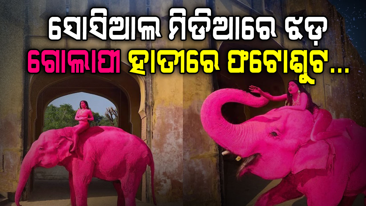 ଫଟୋସୁଟ୍ ପାଇଁ ହାତୀକୁ ଗୋଲାପୀ ରଙ୍ଗ କଲେ ବିଦେଶୀ କଳାକାର....."ଭ୍ୟୁଜ ପାଇଁ ବନ୍ୟପ୍ରାଣୀଙ୍କୁ ନିର୍ଯାତନା ଦିଅନି"
