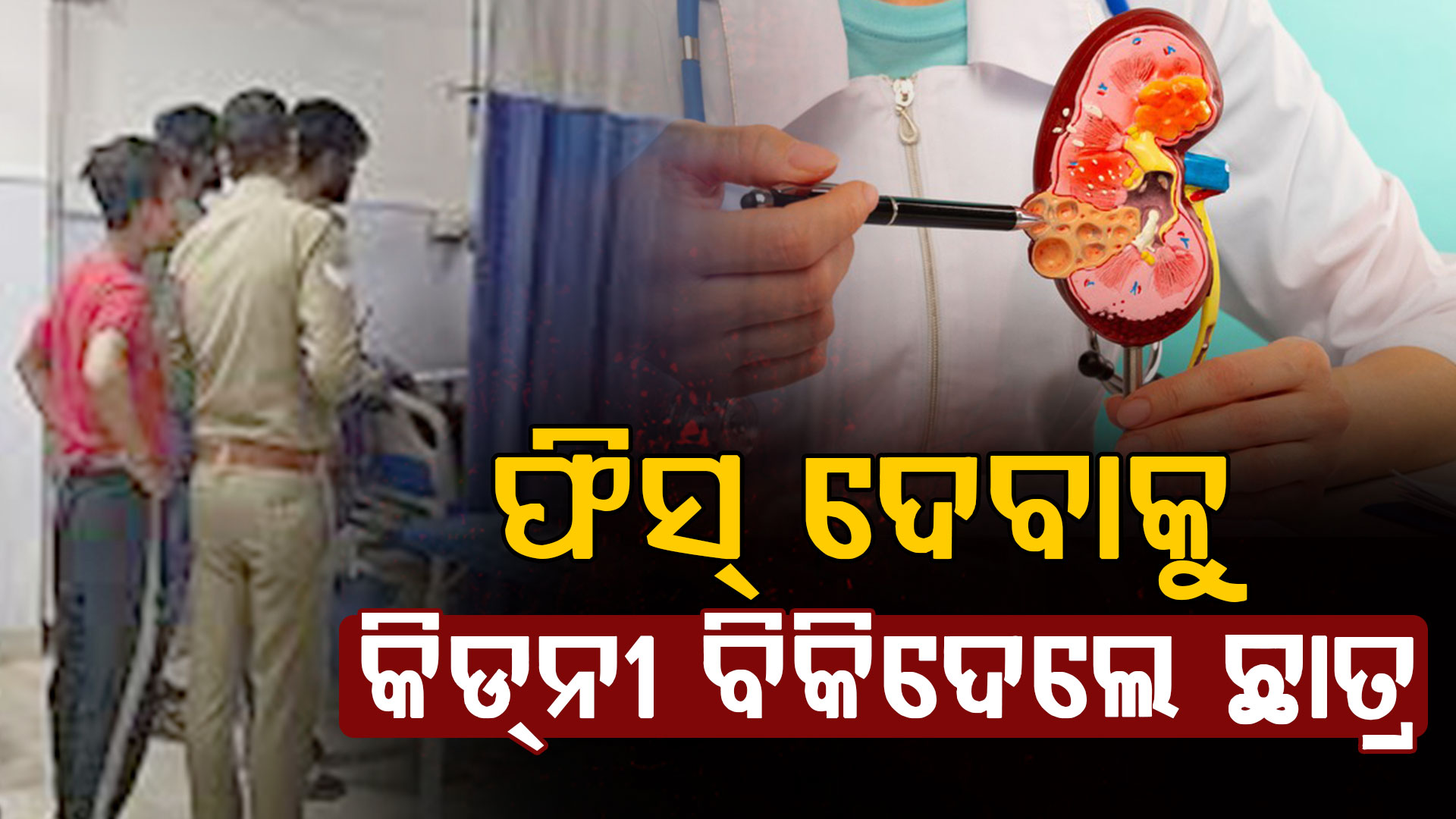 ଧରା ପଡ଼ିଲା ବଡ଼ ର‍୍ୟାକେଟ୍‌: ଫିସ୍ ଦେବାକୁ କିଡନୀ ବିକିଲା MBA ଛାତ୍ର, ଆଉ ତା'ପରେ...