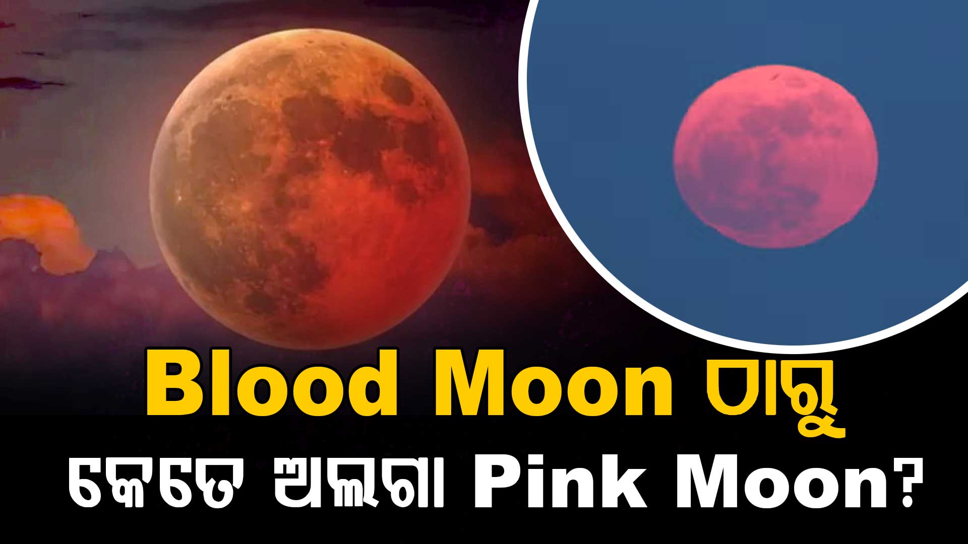 ଆଜି ଦୃଶ୍ୟମାନ ହେବ ପିଙ୍କ ମୁନ୍;  ବ୍ଲଡ୍ ମୁନ୍ ଠାରୁ କେତେ ଅଲଗା?  