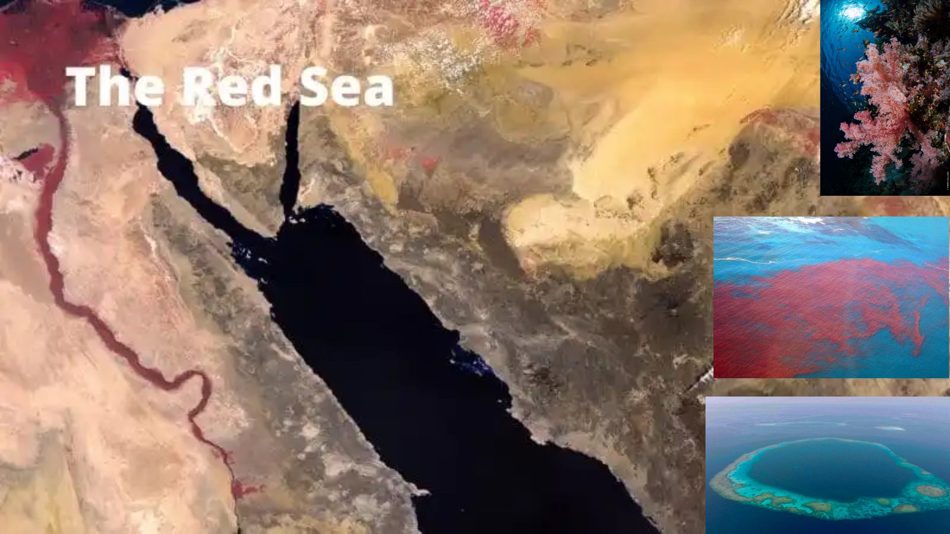 The Red Sea Isn’t Red - But Why It’s Called So Matters More Than Ever Amid Iran–America Tensions
