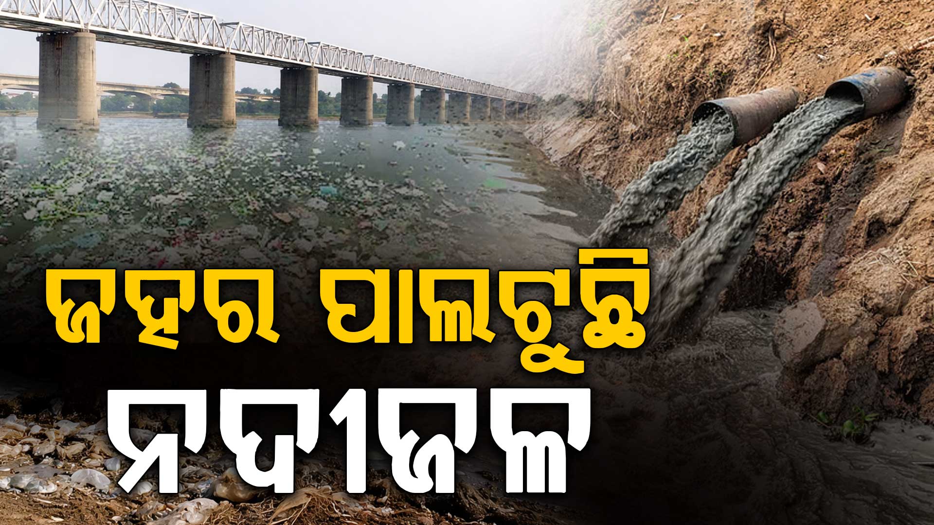 ଜହର ପାଲଟୁଛି ନଦୀଜଳ, ଗାଧୋଇଲେ ମାଡ଼ି ବସିବ ମାରାତ୍ମକ ରୋଗ