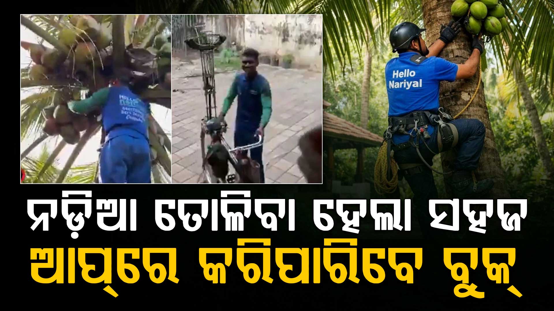 ଏବେ ନଡ଼ିଆ ତୋଳିବାକୁ ଲୋକ ଖୋଜିବା ଦରକାର ନାହିଁ...ଆପ୍‌ରେ କରିପାରିବେ ବୁକ୍‌