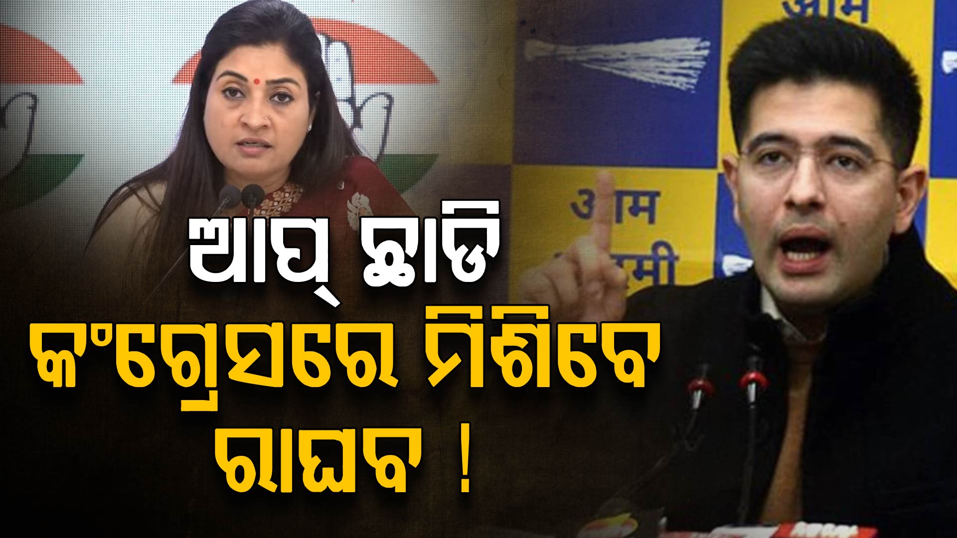 ଆପ୍ ଛାଡି କଂଗ୍ରେସରେ ମିଶିବେ ରାଘବ, ଅଳକା ଲାମ୍ବା କହିଲେ...