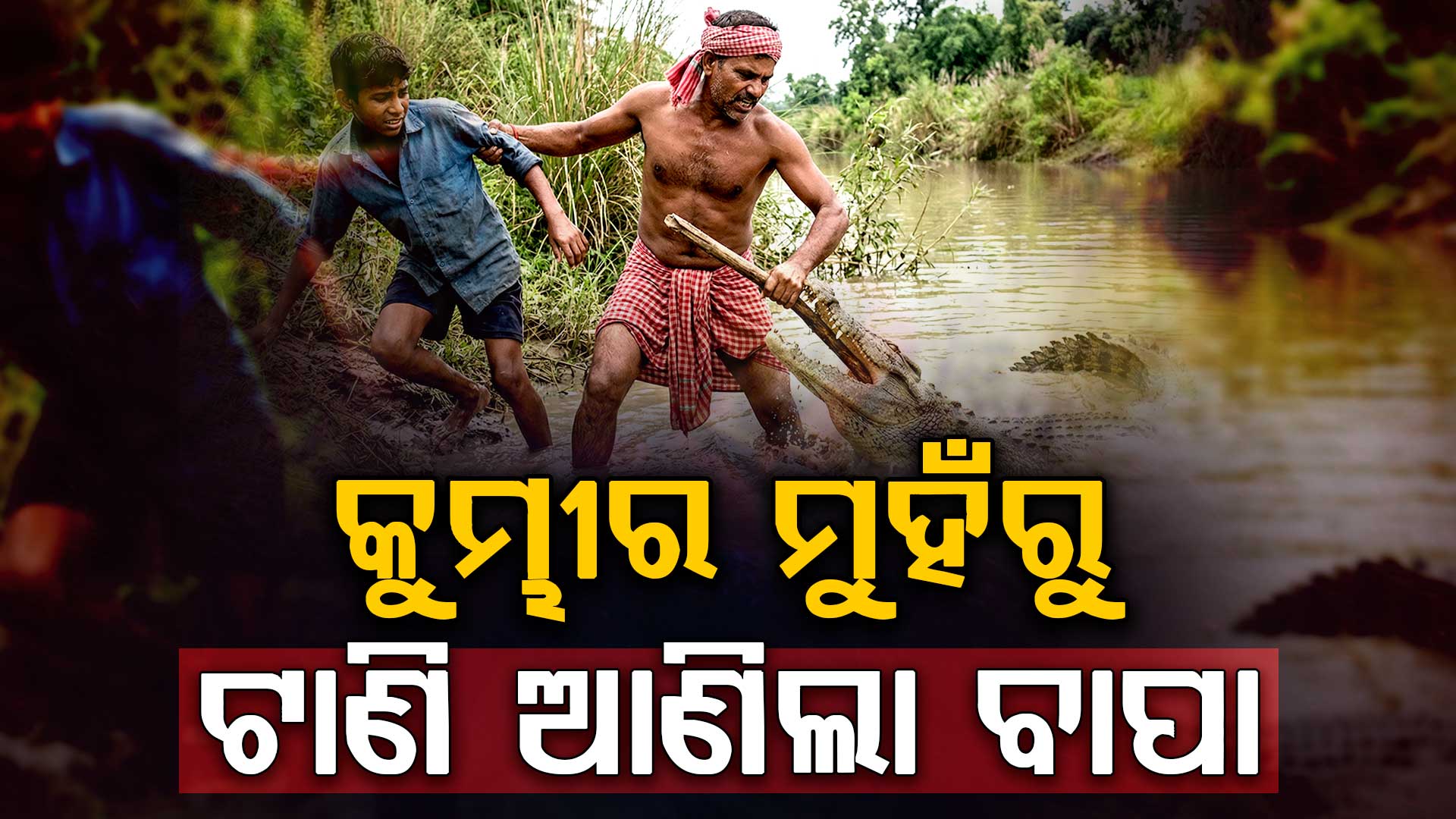 ୧୪ ବର୍ଷ ପୁଅ ପାଇଁ କୁମ୍ଭୀର ସହ ଏକାକୀ ଲଢ଼ିଲା ବାପା; ବଞ୍ଚାଇଲେ ଜୀବନ