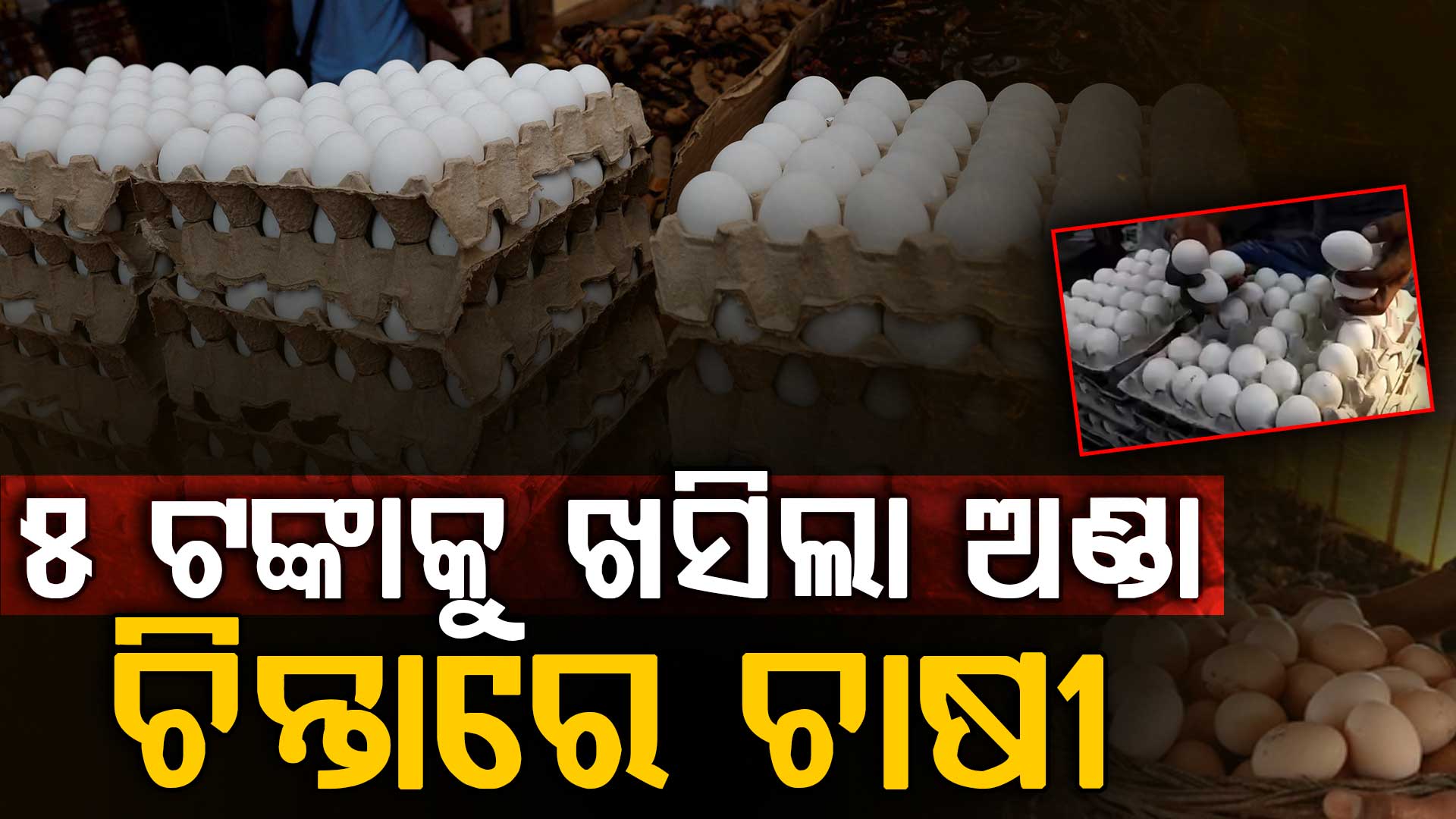 ମଧ୍ୟପ୍ରାଚ୍ୟ ଯୁଦ୍ଧ ପାଇଁ ବନ୍ଦ ହେଲା ଅଣ୍ଡା ରପ୍ତାନୀ ଚିନ୍ତାରେ ଅଣ୍ଡା ବ୍ୟବସାୟୀ 