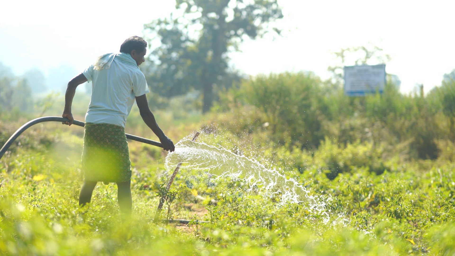Vedanta Aluminium's Project Sangam Enables Irrigation On 800+ Acres In Odisha's Kalahandi