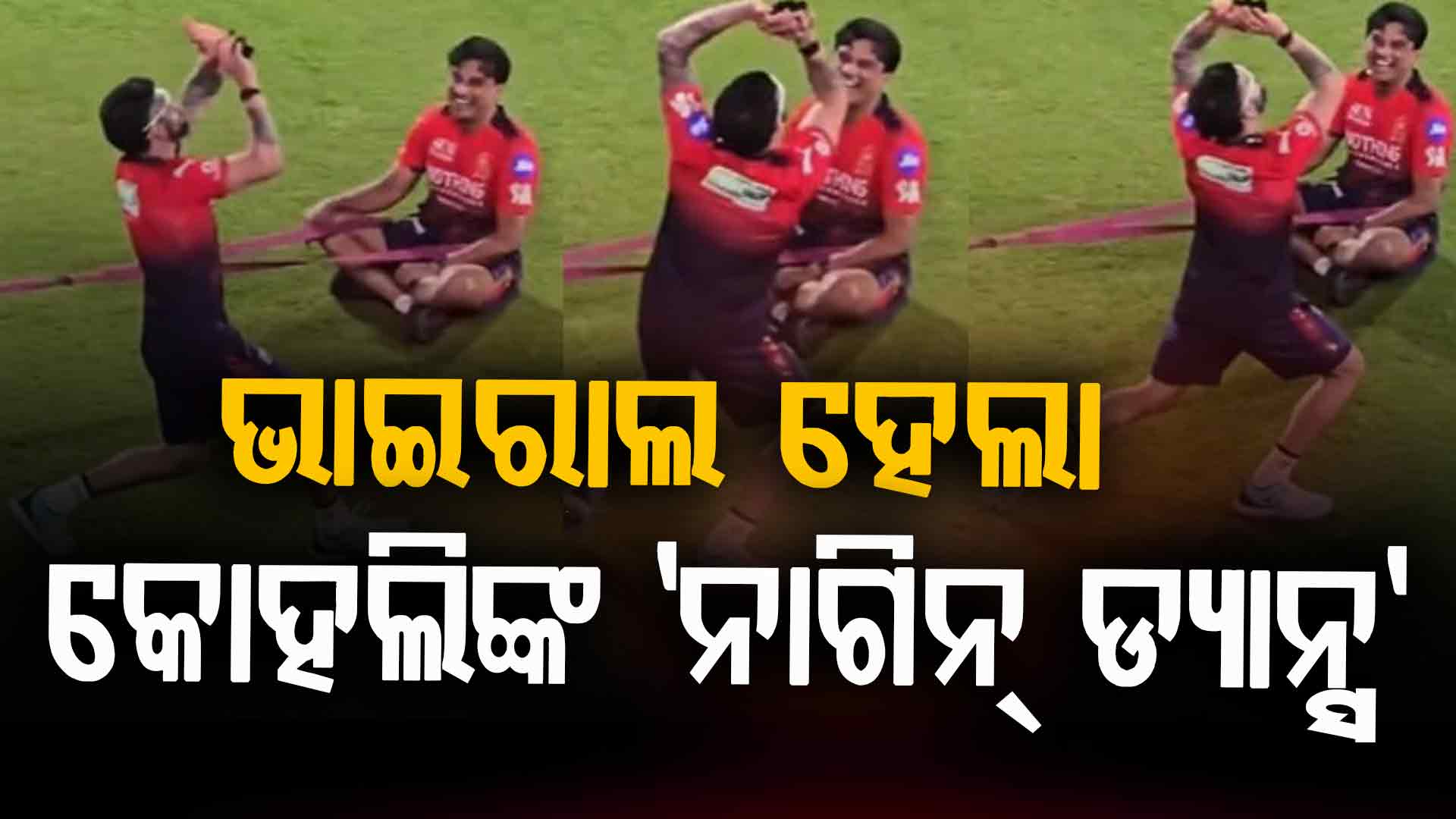 IPL ମ୍ୟାଚ୍ ପରେ କୋହଲିଙ୍କ 'ନାଗିନ ଡ୍ୟାନ୍ସ', ଭାଇରାଲ ହେଲା ଭିଡିଓ