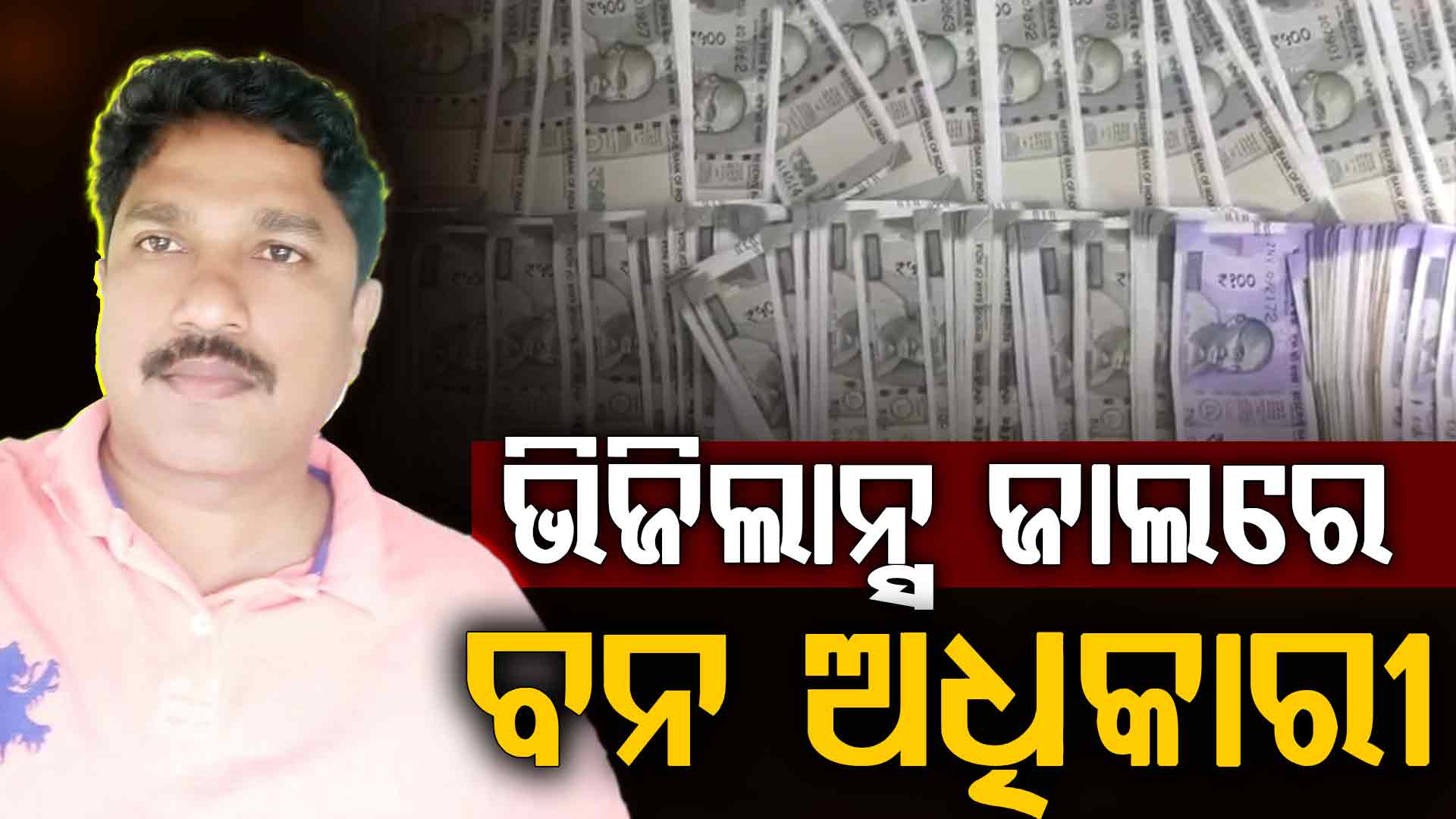 ଭିଜିଲାନ୍ସ ଜାଲରେ ବନ ଅଧିକାରୀ, ଗାଡିରୁ ୨.୩୩ ଲକ୍ଷ ଟଙ୍କା ଜବତ