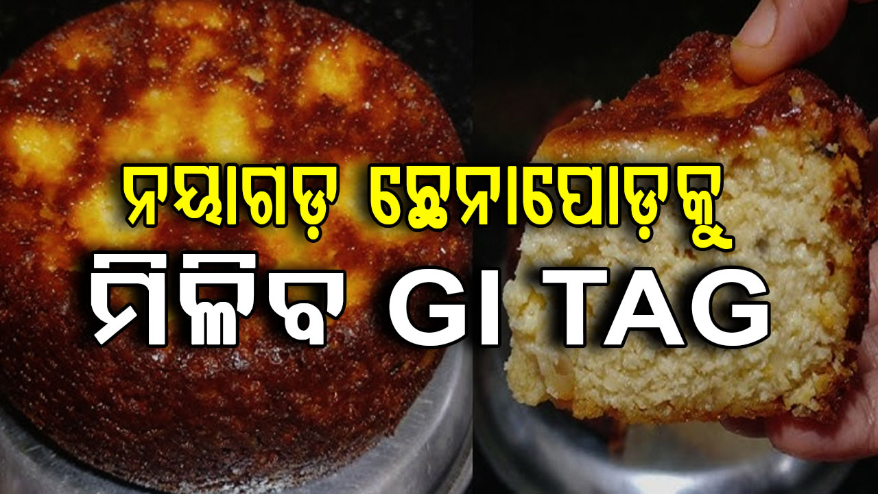 ଦୀର୍ଘ ଦିନ ଅପେକ୍ଷାର ଅନ୍ତ, ନୟାଗଡ଼ ଛେନାପୋଡ଼କୁ ମିଳିବ ବିଶ୍ୱସ୍ତରୀୟ ସ୍ୱୀକୃତି
